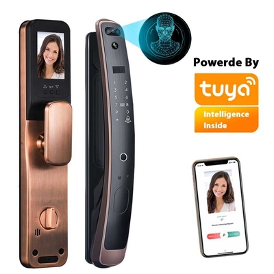 Wifi Tuya Smart Lock 3D অ্যাক্সেস কন্ট্রোল ফেস রিকগনিশন ডোর লক