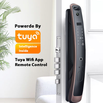 Wifi Tuya Smart Lock 3D অ্যাক্সেস কন্ট্রোল ফেস রিকগনিশন ডোর লক